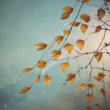 Drift Away