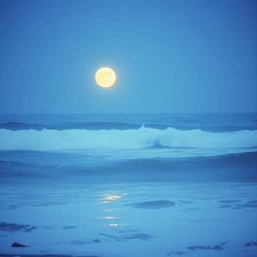 Silent Aspirations