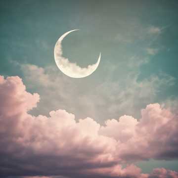 Silent Dreams